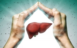 Thức khuya xem bóng đá ảnh hưởng đến gan thế nào?