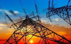 Liên tiếp 5 Chủ tịch ngành điện bị khởi tố, bắt tạm giam: Các doanh nghiệp đang làm ăn ra sao?