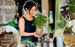 Tôi đã thử ngâm vài hạt đậu phộng trong nước suốt 15 ngày và bất ngờ nhận được một “khu rừng mini” xanh mát: Không tốn tiền mua cây mà vẫn có góc thư giãn cực chữa lành