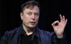 Bữa sáng của Elon Musk
