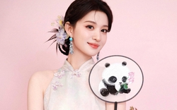 Ai đó hãy cứu lấy Vương Sở Nhiên!