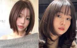8 màu nhuộm hot nhất 2026: Che tóc bạc khéo léo, xuống màu không bị vàng