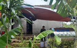 Vào rừng hái cây thuốc, người phụ nữ bị rắn độc cắn tử vong