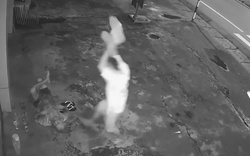 Hé lộ lai lịch nghi phạm dùng đá đập đầu, cướp tài sản của ông lão bán vé số