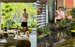 Hồ cá Koi trên ban công, cửa sổ view "4 mùa" của chàng trai lên núi xây nhà sống cùng 4 chú chó