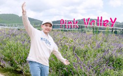 Pink Valley: Thung lũng đẹp như cổ tích ở Đà Lạt khiến giới trẻ mê mẩn chỉ với 120.000 đồng