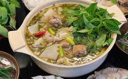Mùa hè đừng bỏ qua rau lá é: Loại rau dân dã giúp hỗ trợ tiêu hóa, tăng sức đề kháng, càng ăn đúng mùa càng tốt
