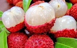 Lời khuyên khi mua vải