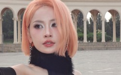 Chi Pu và một loạt nghệ sĩ bị lu mờ