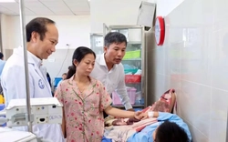 Vụ hàng trăm người nghi ngộ độc bánh mì tại Đồng Tháp: 25 mẫu dương tính vi khuẩn Salmonella