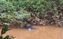 Ai biết danh tính thi thể nam dưới sông Cần Lê, liên hệ ngay SĐT Công an