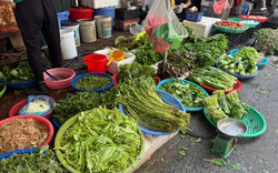 5 loại rau đang đúng mùa, đi chợ thấy là nên mua