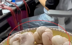 Đĩa măng cụt đang khiến 1 gia đình thành tâm điểm MXH: Kiểu yêu thương con này có phải ngột ngạt quá rồi không?