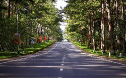 Thông tin về 2 sân bay tại tỉnh sở hữu “Đà Lạt thứ 2”: 1 trên núi và 1 trên biển