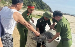 Bắt gặp "vị khách" quý trong lưới, ngư dân có hành động bất ngờ