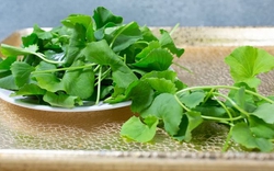 Chống nắng nội sinh tự nhiên: Đây là bát canh nấu cực dễ, ăn vào da mát rượi không sợ bắt nắng, mụn bọc lặn thin thít