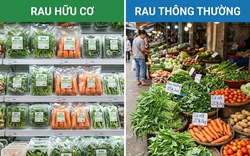 Nên mua rau hữu cơ hay rau thông thường?