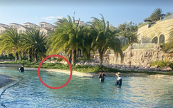Phục hồi điều tra vụ bé 11 tuổi người Nhật tử vong ở hồ bơi tại resort
