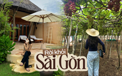 Rời Sài Gòn về Nha Trang, dù không thất nghiệp