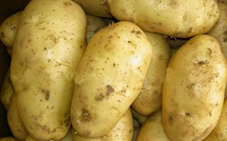 Cô hàng xóm của tôi đã giảm 6kg trong 2 tháng nhờ ăn khoai tây vào bữa sáng