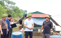 Mực nước sông Đà giảm đột ngột, hơn 73 tấn cá chết