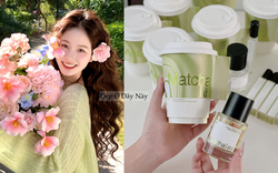 6 chai nước hoa “made in Vietnam” đẹp từ vỏ đến mùi hương, chất lượng đáng tự hào