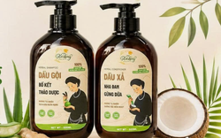 Tất cả người dân dùng 2 loại dầu gội đầu, dầu xả thảo dược này chú ý