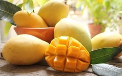 Không chỉ giàu vitamin C, xoài còn được đánh giá cao nhờ 3 lợi ích với sức khỏe