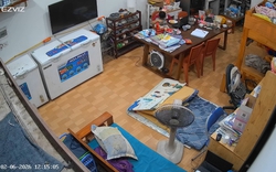 Cún cưng đi lạc, con trai đi đi lại trong phòng rồi làm hành động khiến mẹ cắt camera đăng khắp nơi