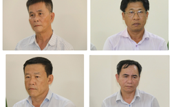 Ra quyết định khởi tố hàng loạt Giám đốc, cán bộ BQL dự án, công chức phòng kinh tế xã