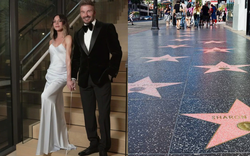 David Beckham đi vào lịch sử khi là cầu thủ đầu tiên được khắc tên trên Đại lộ Danh vọng Hollywood