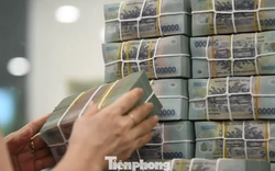 'Hoa hậu doanh nhân thành đạt' nợ xấu hơn 90 tỷ đồng