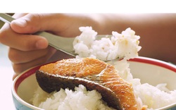 Lưu ý quan trọng cho người thích ăn cá