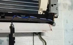Làm thế nào để biết rắn đang chui trong điều hòa nhà mình? Dấu hiệu đầu tiên nhiều người bỏ qua