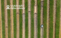 Toàn cảnh khu vực rộng gấp 6 lần phường Hoàn Kiếm, từng là nơi sinh sống của gần 250.000 người dân Hà Nội... sắp được làm siêu dự án chưa từng có