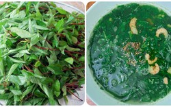 Ăn rau đay thường xuyên có tác dụng gì?