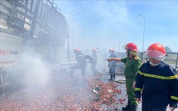 Xe tải chở 10 tấn mận cháy rụi trên cao tốc Diễn Châu - Bãi Vọt