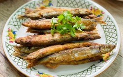 Mùa hè hãy chọn 5 loại cá giá rẻ: Chúng hầu như không nhiễm kim loại nặng, bổ não, sáng mắt, tăng miễn dịch