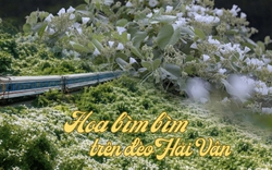 Việt Nam có cung đường đang xảy ra hiện tượng "tuyết mùa hè" phủ trắng đèo đẹp như phim