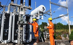Chủ tịch và Kế toán trưởng bị bắt, doanh nghiệp điện phát thông báo quan trọng