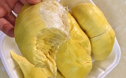 Tại sao không nên ăn sầu riêng trước những kỳ thi quan trọng?