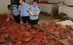 Theo dõi suốt 2 tháng, phanh phui đường dây sản xuất thịt giả doanh thu 19 tỷ đồng, thu giữ 2,2 tấn thịt chất thành "núi"