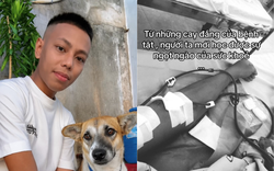 TikToker 9 năm chạy thận, tự làm ảnh thờ cho mình vừa qua đời, MXH tràn ngập lời chia buồn