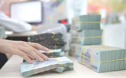 Cán bộ, công chức cấp xã thu nhập đến 25 triệu đồng mỗi tháng