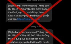 Cảnh báo thủ đoạn giả mạo ngân hàng để chiếm đoạt thông tin thẻ tín dụng