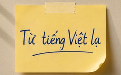 Một từ tiếng Việt chỉ 2 âm tiết nhưng khiến không ít người Việt phải tra Google mới hiểu nghĩa