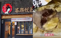 Con gián trong gói khoai tây 9.000 đồng và sai lầm khiến thương hiệu trà sữa hot hit xứ Trung tự thổi bùng khủng hoảng