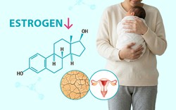 Làm mẹ hiện đại kiểu Gen Z: Vẹn tròn thiên chức, không “gồng mình” chịu đựng khô hạn sau sinh