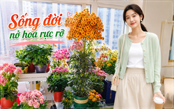 Chỉ mất 1 năm, người phụ nữ trồng cây sống đời thành "cây cổ thụ" cao gần 1 mét, nở hoa kín tán: Bí quyết hóa ra lại rất đơn giản