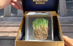 Mảnh cỏ sân chung kết World Cup rao bán từ 12 triệu: FIFA bào tiền fan không trượt phát nào